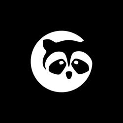 Racoon Rengøring & Ejendomsservice A/S