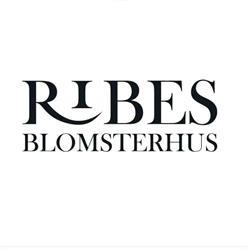 Ribes Blomster
