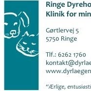 Ringe Dyrehospital Klinik For Mindre Husdyr