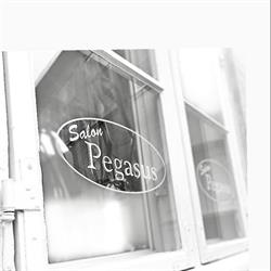 Salon Pegasus