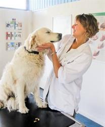 Sandbjerg Dyreklinik v/Dorthe Ulrich