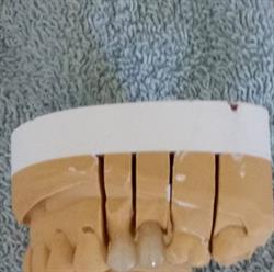 LS Sønderborg Dental ApS