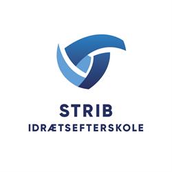Strib Idrætsefterskole