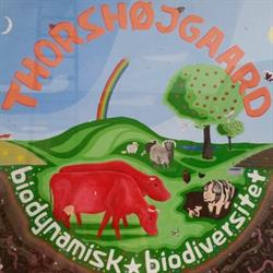 Thorshøjgaard
