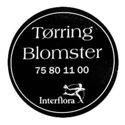 Tørring Blomster