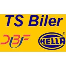 TS Biler