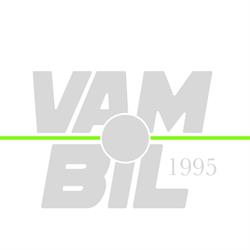 Vamdrup Biler