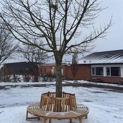 Vestrup Skole
