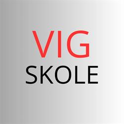 Vig Skole