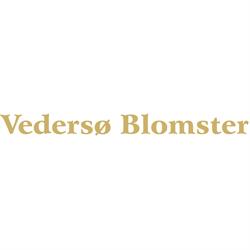 Vedersø Blomster