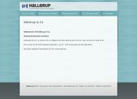 Hallerup & Co Statsautoriserede Revisorer
