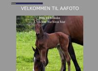 Aafoto