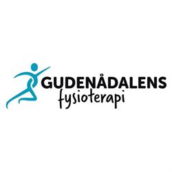 Gudenådalens Fysioterapi Med Træning