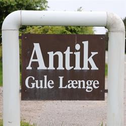 Gule Længe Antikviteter