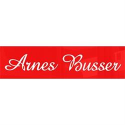Arnes Busser
