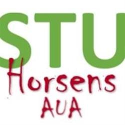 Asv Horsens