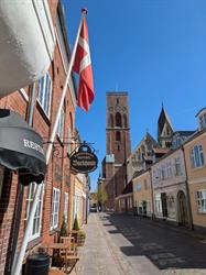 Restaurant Backhaus ApS - God dansk mad Ribe, Vadehavet