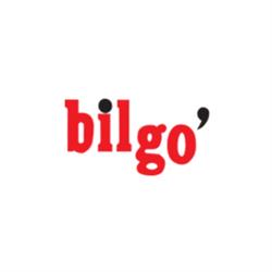 Bilgo i Køge a/S