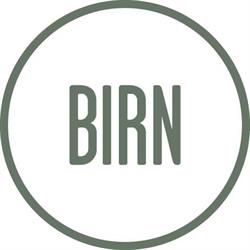 Valdemar Birn A/S