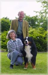 Brokjærgaard Kattepension og Hundepension
