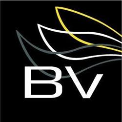 BV reklame