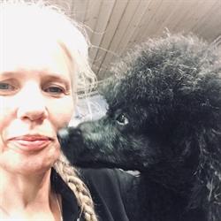 Dalum Hundesalon