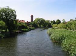 Danmarks Lejerforeninger