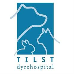 Tilst Dyrehospital