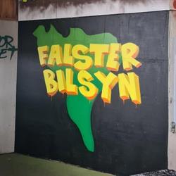 Falster Bilsyn