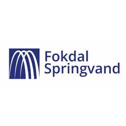 Fokdal Springvand