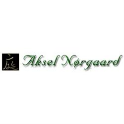 Aksel Nørgaard