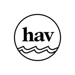 Havhøkeren