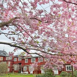 Hotel Hornbækhus
