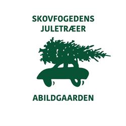 Abildgaardens Juletræer