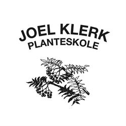 Joel Klerk