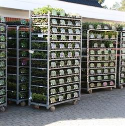 Lunds Planteskole ApS
