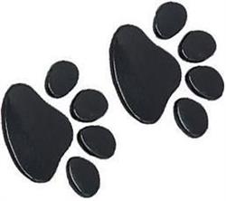 Lykkegårdens Hunde- og Kattepension