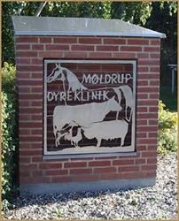 Møldrup Dyreklinik