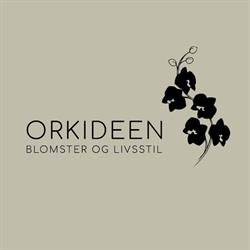 Orkideen Blomster og Livsstil