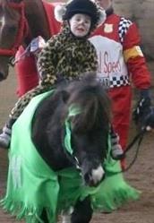 Skævinge Ponyrideskole