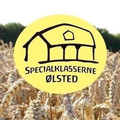 Specialklasserne - Rudolf Steiner-Skolen i Odense
