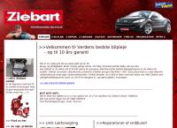 Ziebart Tidycar