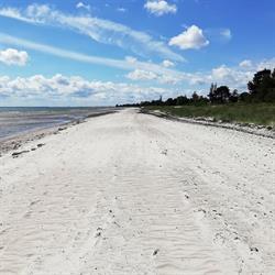 Solrød Strands Grundejerforening (Lars Nielsen)
