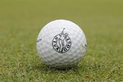 Nivå Golf