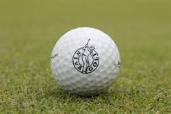 Nivå Golf
