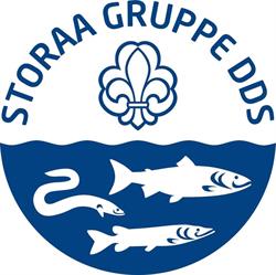 Dds, Storaa Gruppe