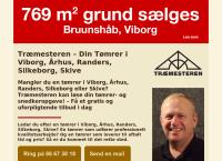 Træmesteren