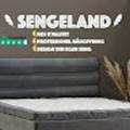 Torben Pedersen (Team Sengeland)